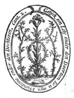 Lily and thorny shrubs, illustrating the Song of Songs: 'As a lily among thorns, So is my love among the daughters'