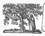 Man picking a bunch of grapes off a vine, winding itself round a tree; banderole