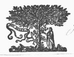 Man picking a bunch of grapes off a vine, winding itself round a tree; banderole