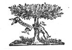 Bees attacking a wolf searching for honey from a tree; banderole