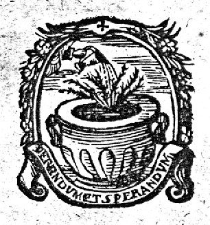 Hand from the clouds watering a rose-bush in a pot; frame decorated with branches and banderole with inscription