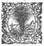 Mountainous landscape with snakes and frogs at the foot of a palm tree; decorated frame