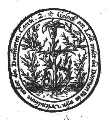Lily and thorny shrubs, illustrating "Song of Songs 2:2": 'As a lily among thorns, So is my love among the daughters'