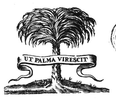 Palm tree; banderole