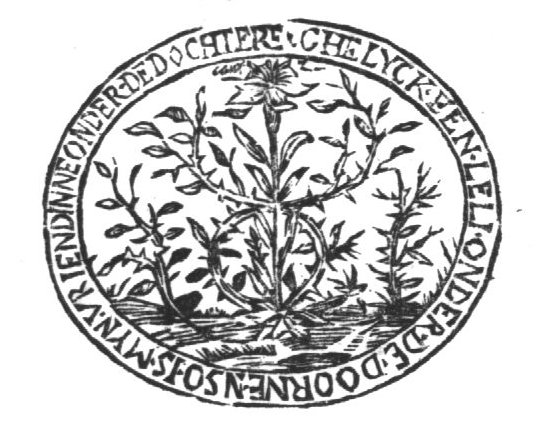 Lily and thorny shrubs, illustrating the Song of Songs: 'As a lily among thorns, So is my love among the daughters'