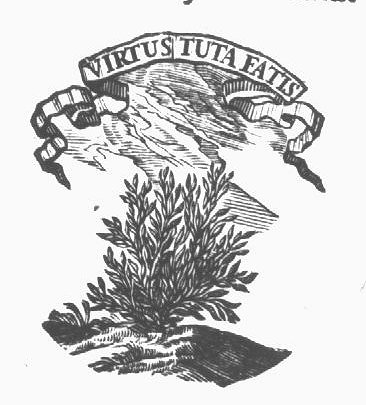 Shrubs; banderole