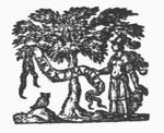 Minerva (helmet, Aegis, owl) standing next to an olive-tree, holding a banderole with inscription