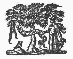 Minerva (helmet, Aegis, owl) standing next to an olive-tree, holding a banderole with inscription