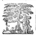 Minerva (helmet, Aegis, owl) standing next to an olive-tree, holding a banderole