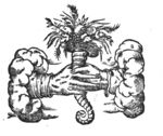 Two hands holding a cornucopia
