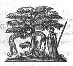 Minerva (lance, helmet, Aegis, owl) standing next to a tree bearing fruit, holding a banderole