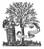 Minerva (Aegis, helmet and sword), standing next to an olive-tree, holding a banderole