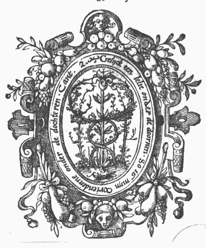 Lily and thorny shrubs, illustrating the Song of Songs: 'As a lily among thorns, So is my love among the daughters'; frame decorated with festoons, mascarons and fruit