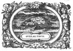Turtle; frame decorated with festoons, hybrid beings of mixed human and animal shape, snakes and lion's heads