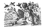 Elijah fed by the ravens (Dutch: 'raven'): while the prophet is living by the brook, ravens bring him food