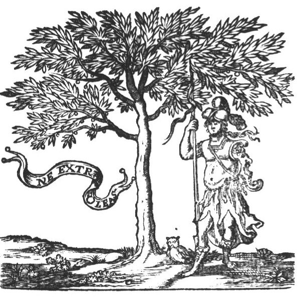 Minerva (Aegis, helmet, lance, owl) standing next to an olive-tree; banderole with inscription