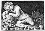 Wingless putto or naked boy lying on the ground, resting on a skull; plants