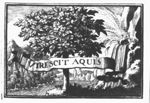 Landscape with a tree, water (Dutch: 'water') falling on it from a waterfall; banderole with inscription