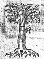 Tree, roots visible; initial 'T'