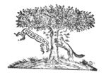 Bees attacking a wolf searching for honey from a tree; banderole