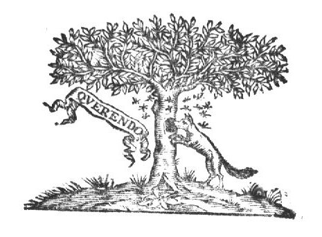 Bees attacking a wolf searching for honey from a tree; banderole