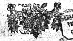 Ornamental, mainly floral forms