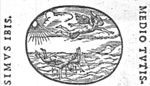 The fall of Icarus (Daedalus present)