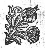 Ornamental flowers
