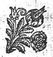 Ornamental flowers
