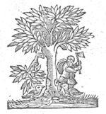 A man cuts a tree with an axe; two birds at the foot of the tree; a branch is falling down