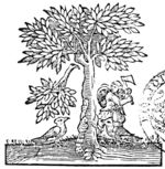 A man cuts a tree with an axe; two birds at the foot of the tree; a branch is falling down