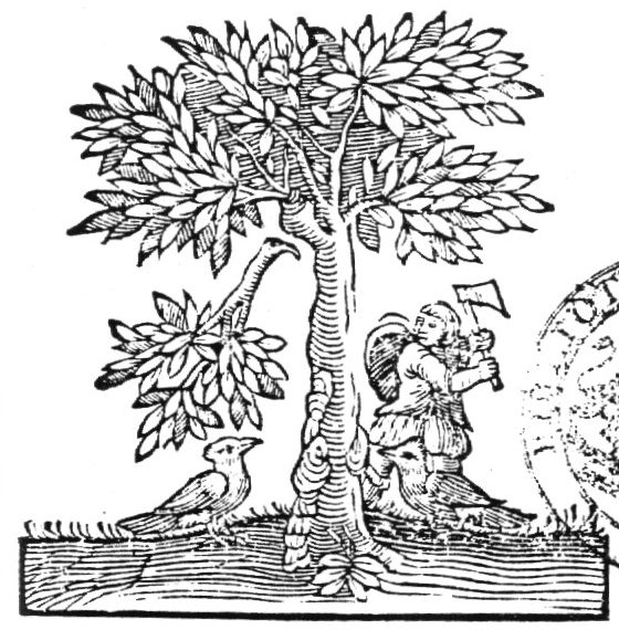 A man cuts a tree with an axe; two birds at the foot of the tree; a branch is falling down