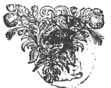 Ornamental device