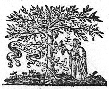 Man picking a bunch of grapes off a vine, winding itself round a tree; banderole