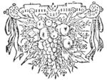 Ornamental