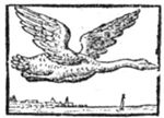 Swan flying above a landscape with the silhouette of a town