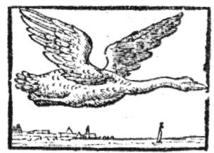 Swan flying above a landscape with the silhouette of a town