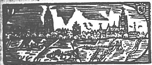 View of Delft across the fields