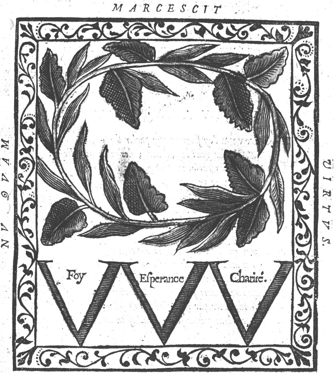 Branch of an amaranth(?) growing in a circle; decorated frame