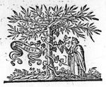 Man picking a bunch of grapes off a vine, winding itself round a tree; banderole