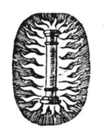 A column surrounded by fire