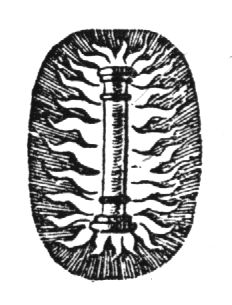 A column surrounded by fire