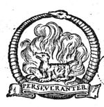 Salamander in a fire, encircled by Ouroboros