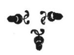 Ornamental device