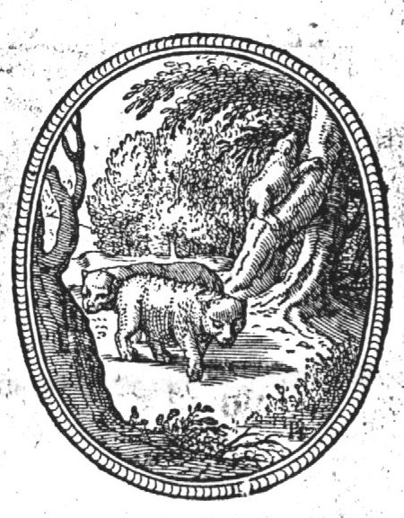 Bears in a forest, (Dutch: 'beren in een woud') one of them climbing a tree; decorated frame