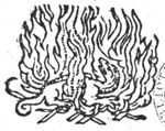 A salamander in a fire
