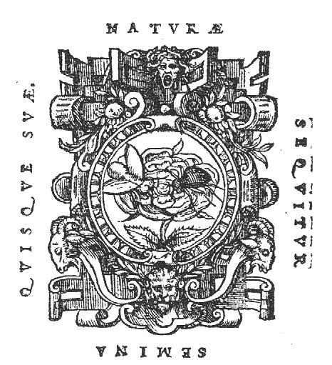 Bee sucking honey and spider sucking venom from a rose; frame decorated with Gorgoneion, festoons and the heads of rams and a lion