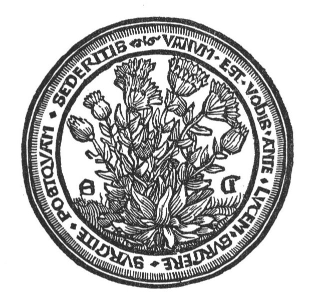 A flowering bush of marigold; initials "A.G."
