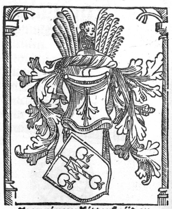 Coat of arms showing three water-lily leaves and a sword from which gloves are hanging with helmet and crest, including a monkey's head(?); columns to the sides