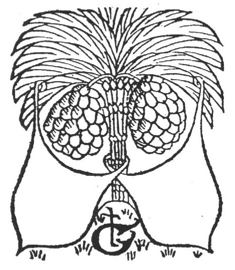 Two blank coats of arms hanging from a fruit bearing palm-tree; monogram "t.G."